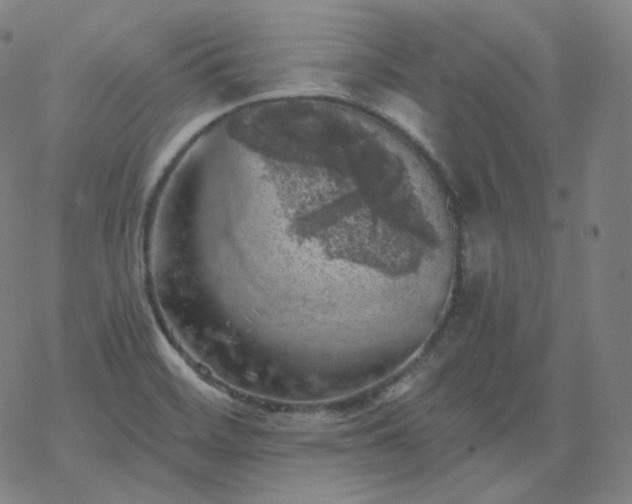 X0000068891468200605122021