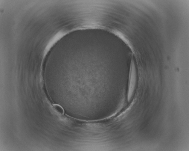 X0000068891469200605122021