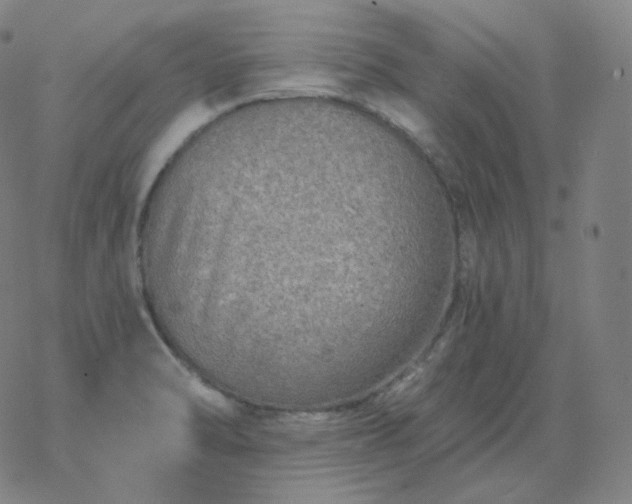 X0000068891470200605122021