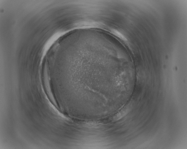 X0000068891472200605122021