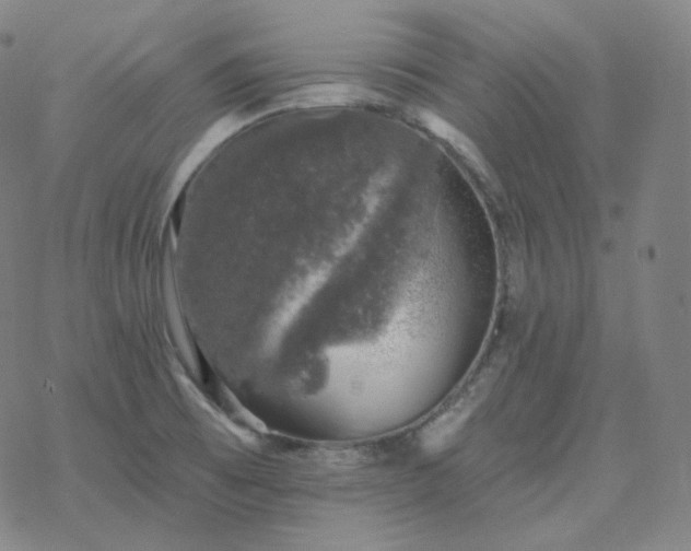 X0000068891473200605122021