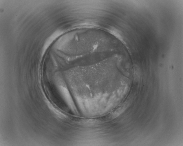 X0000068891474200605122021