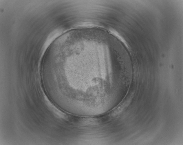 X0000068891475200605122021