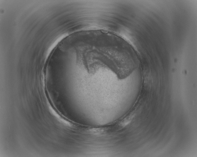 X0000068891476200605122021