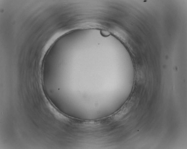 X0000068891478200605122021