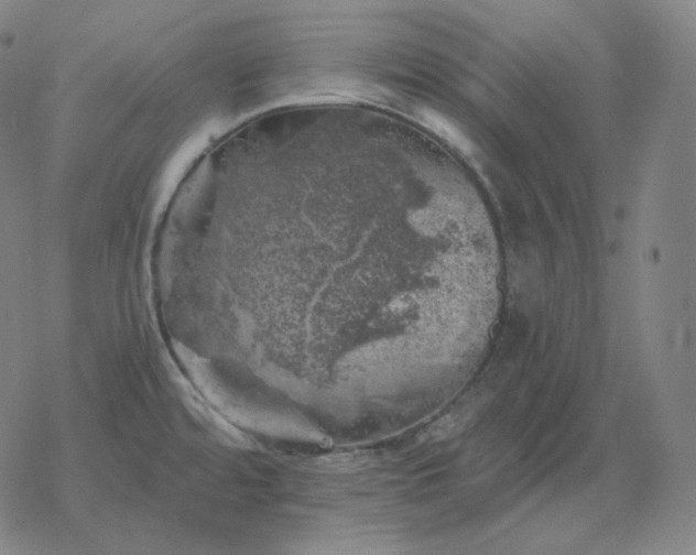 X0000068891480200605122021