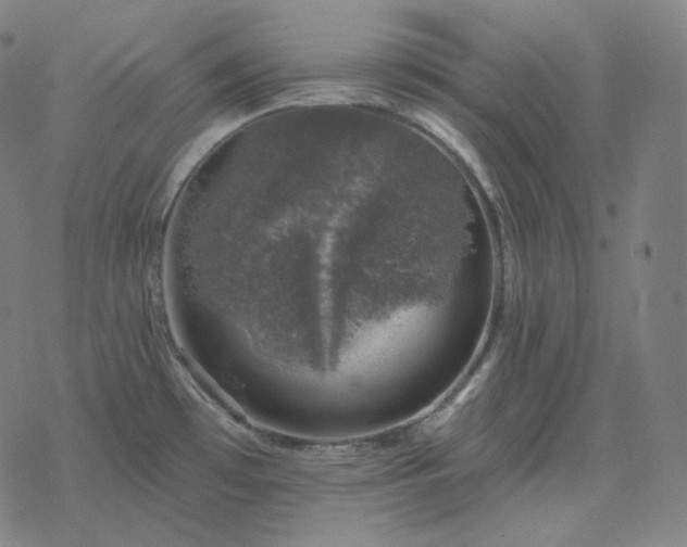 X0000068891481200605122021