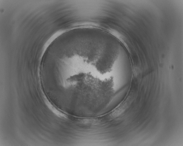 X0000068891482200605122021