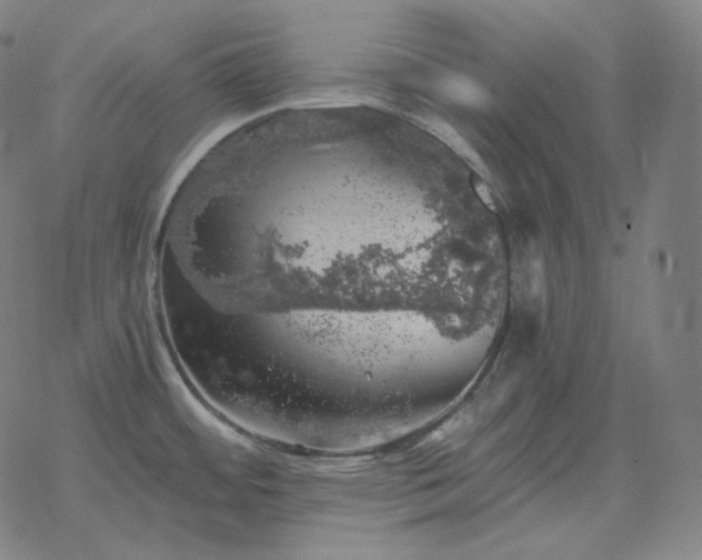 X0000068891484200605122021