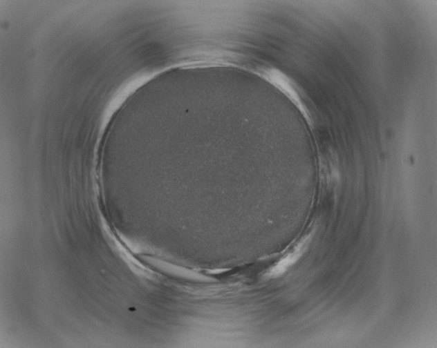 X0000068891485200605122021