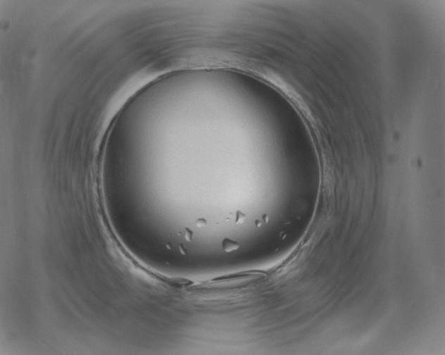 X0000068891486200605122021