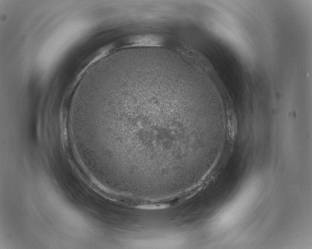 X0000068891487200605122021