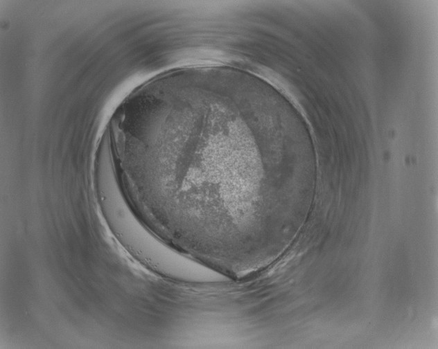 X0000068891488200605122021