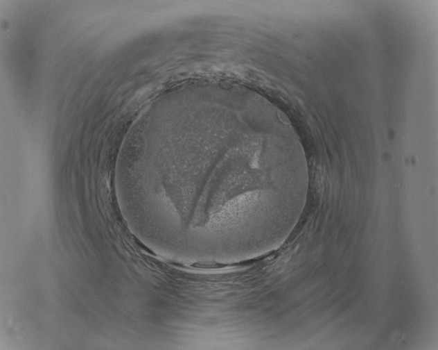 X0000068891489200605122020