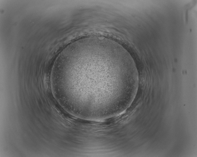 X0000068891490200605122020