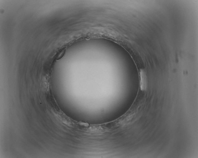 X0000068891491200605122020