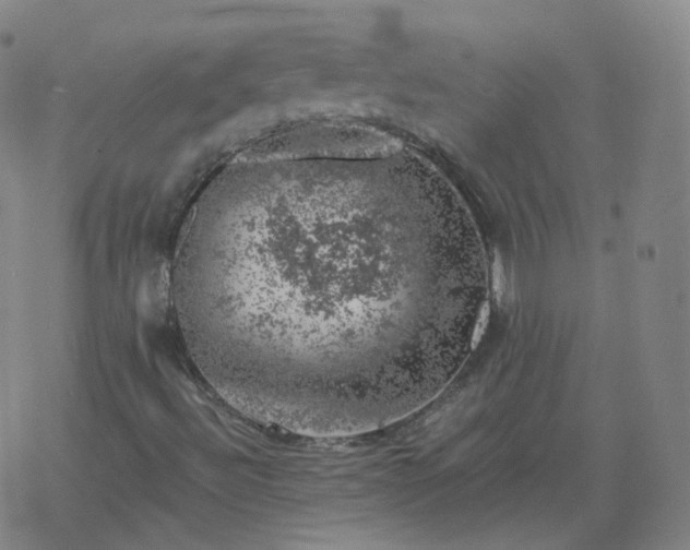 X0000068891492200605122020