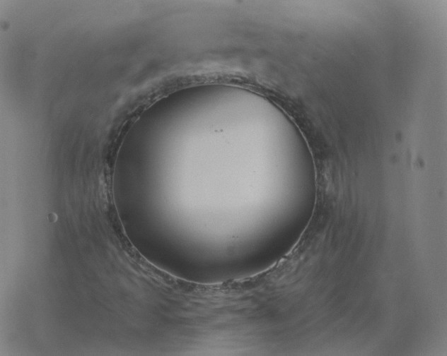 X0000068891493200605122020