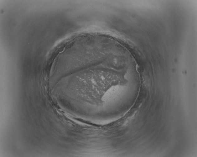 X0000068891494200605122020