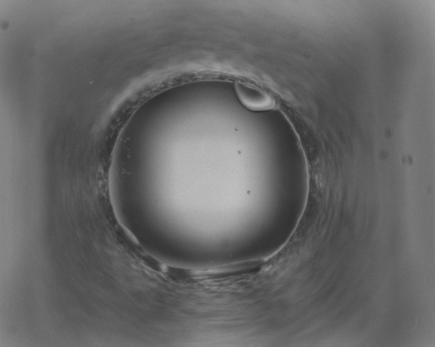 X0000068891495200605122020