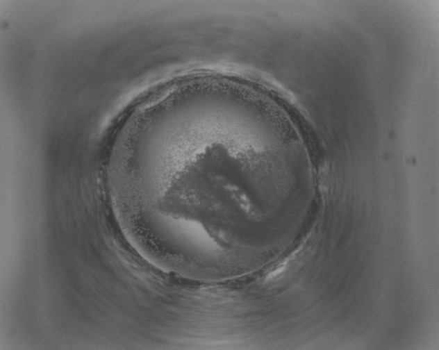 X0000068891496200605122020