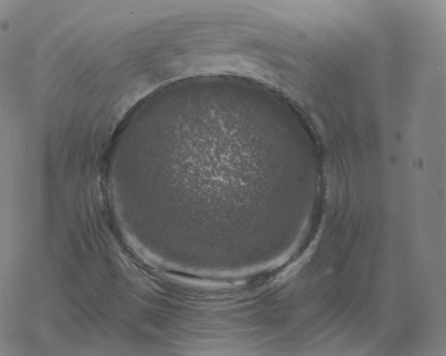 X0000068891497200605122020