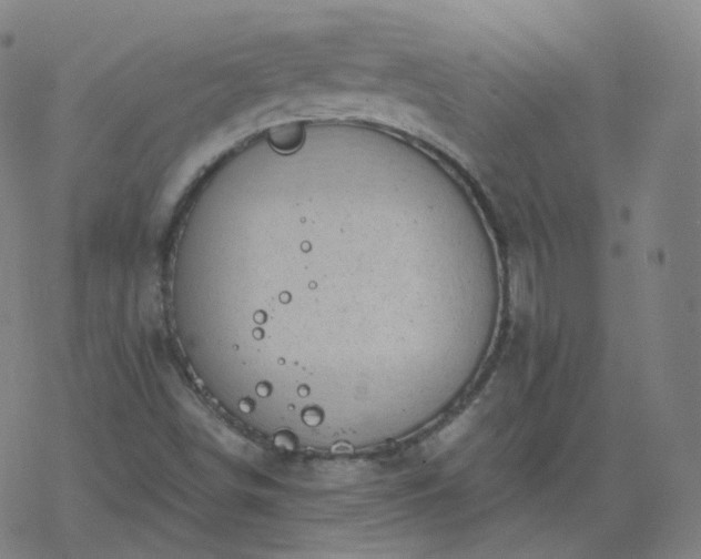 X0000068891498200605122020