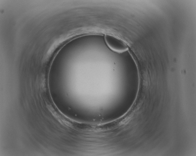 X0000068891499200605122020