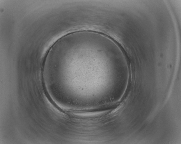 X0000068891500200605122020