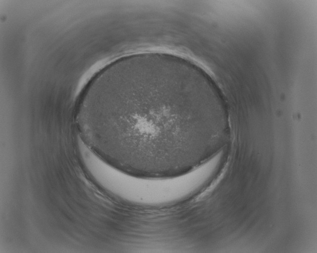 X0000068891501200605122020