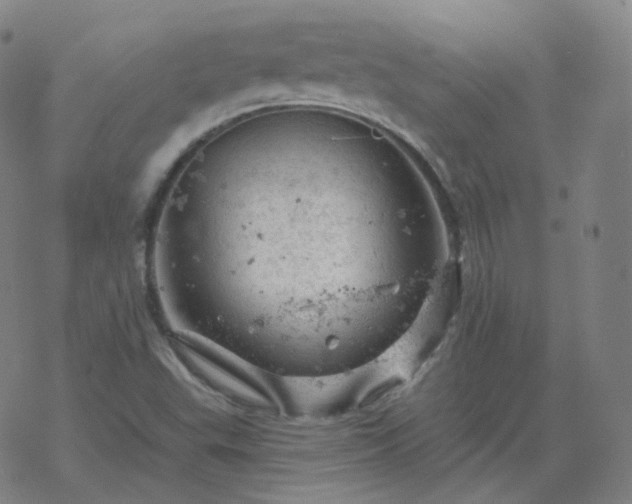 X0000068891503200605122020