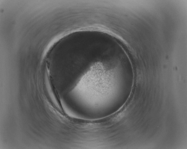 X0000068891506200605122020