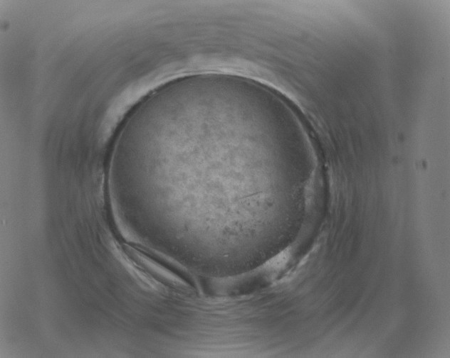 X0000068891507200605122020