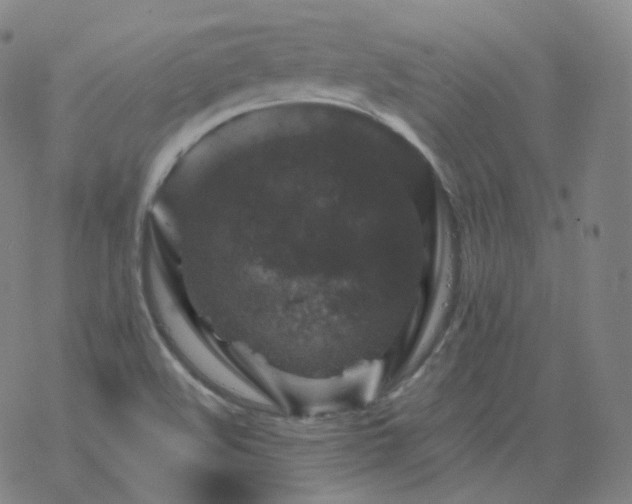 X0000068891508200605122020