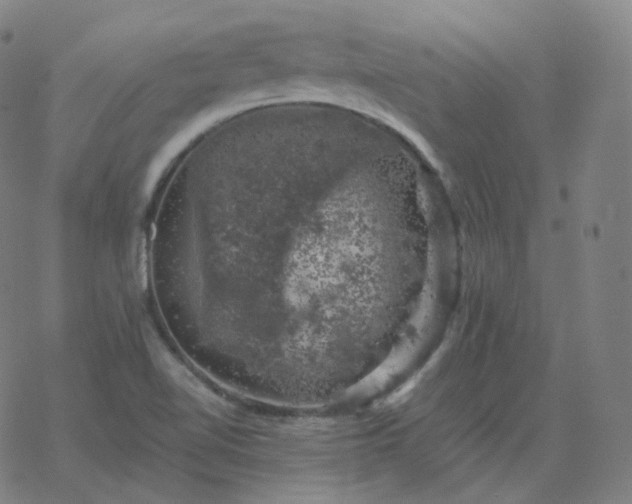 X0000068891510200605122020