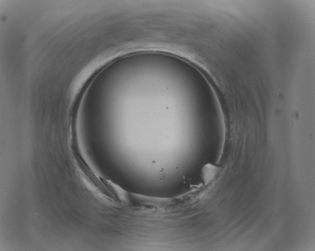 X0000068891511200605122020