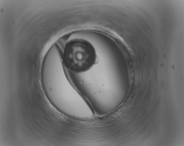 X0000068891512200605122020