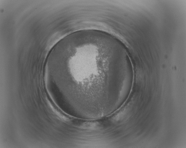 X0000068891513200605122020