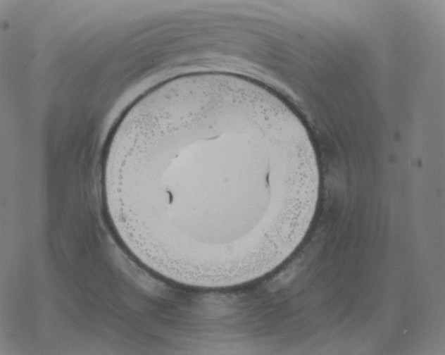 X0000068891514200605122020