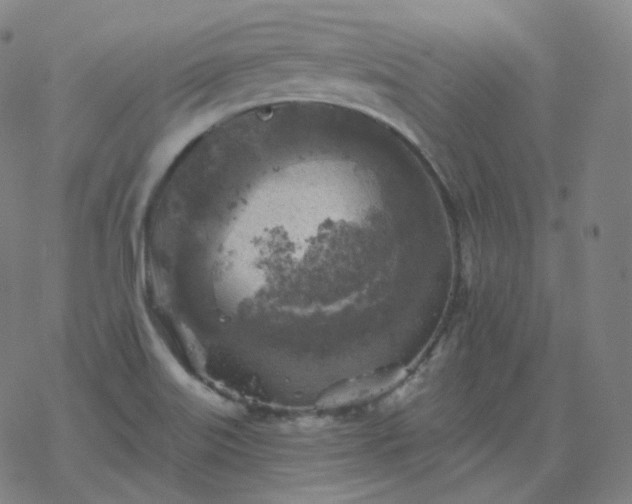 X0000068891515200605122020