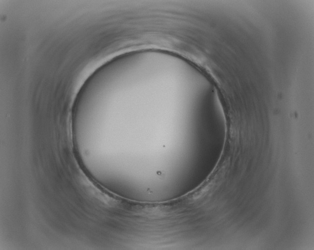 X0000068891516200605122020