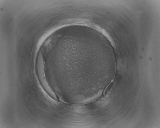 X0000068891520200605122020