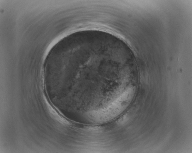 X0000068891522200605122020