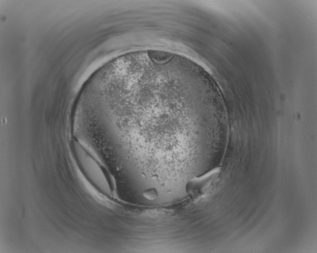 X0000068891523200605122020