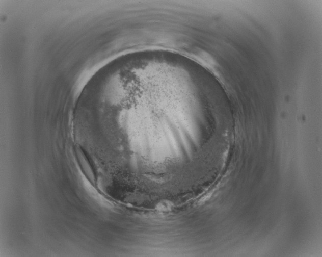 X0000068891524200605122021