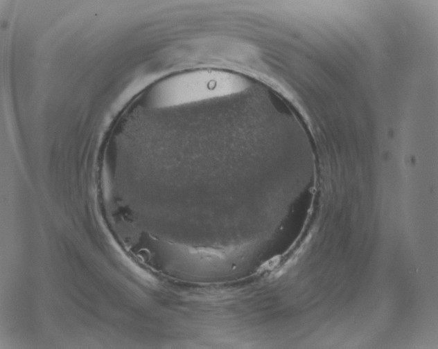 X0000068891525200605122021