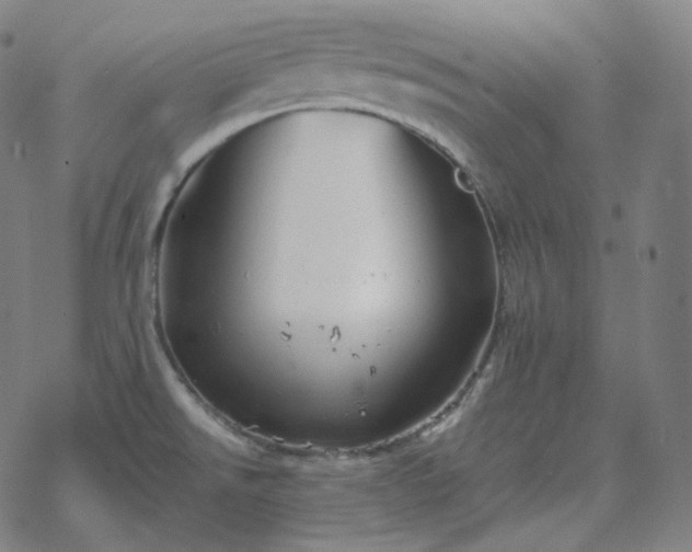 X0000068891526200605122021