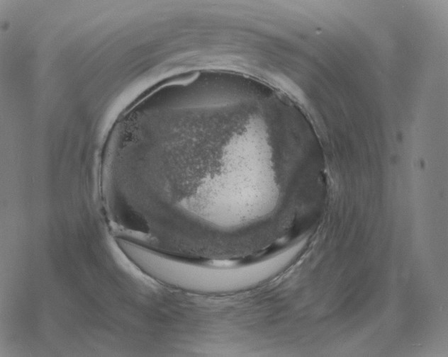 X0000068891528200605122021