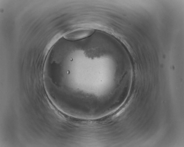 X0000068891529200605122021