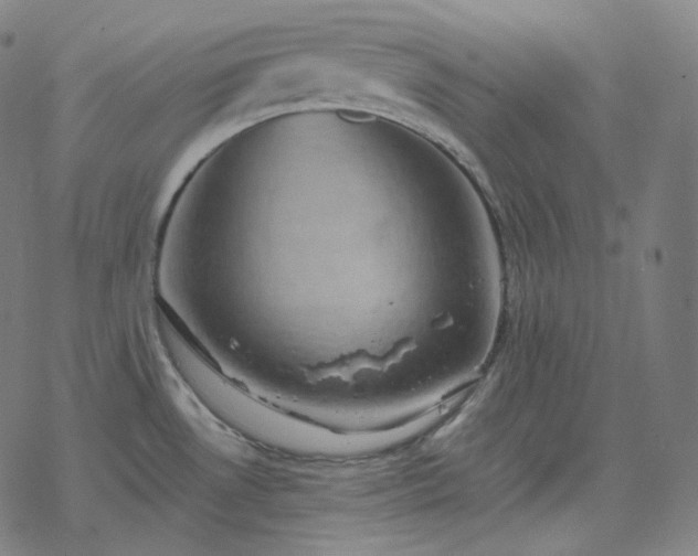 X0000068891530200605122021